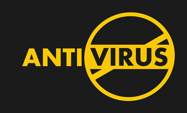 antivirus-1349649_640-6a2