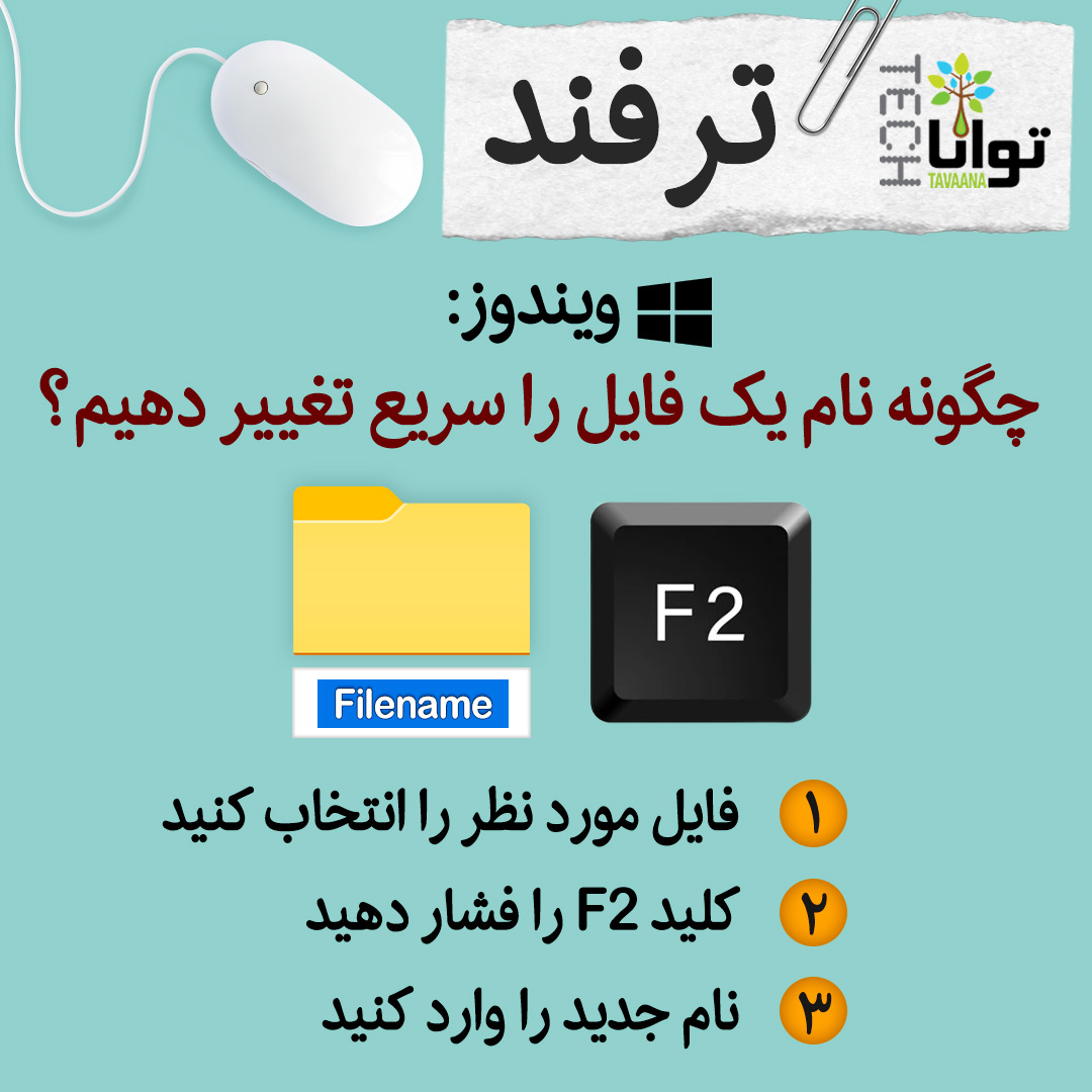 Tarfand4-49d
